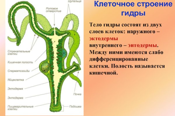 Кракен телеграмм канал