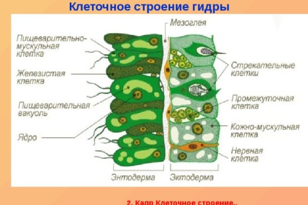 Кракен зеркало рабочее на сегодня